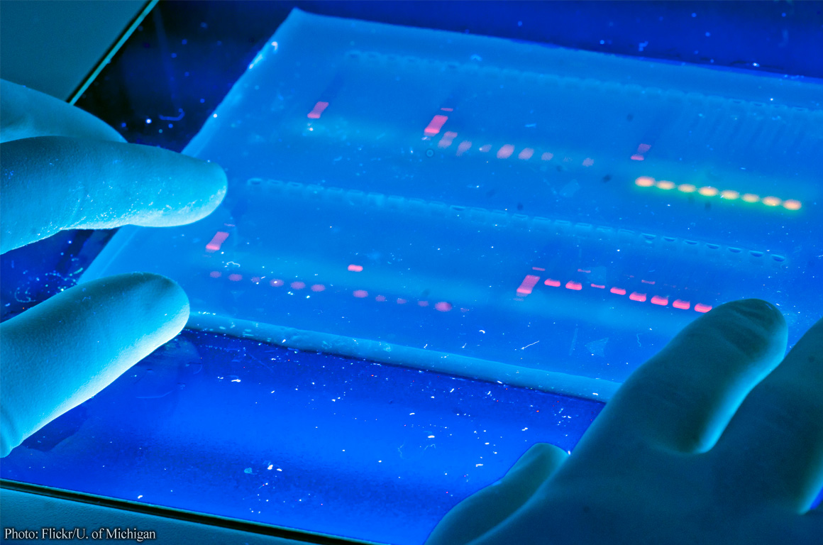 DNA readout in lab