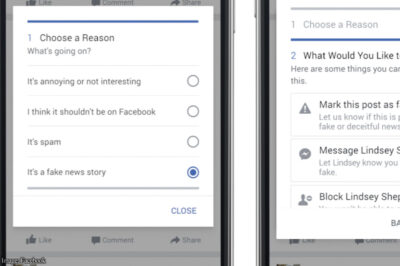 Facebook's fake-news reporting form