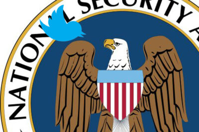 Eagle on NSA logo and Twitter logo bird looking at each other