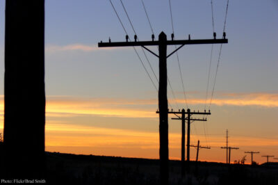 Telephone wires at dusk