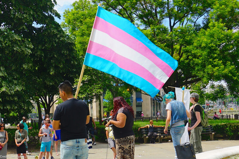 Transgender flag in a demonstration