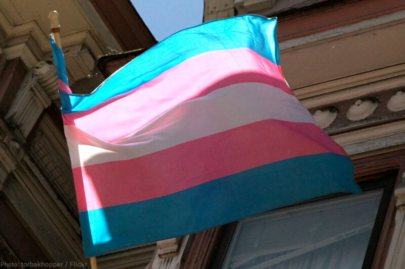 Trans Flag