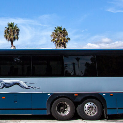 Greyhound Bus