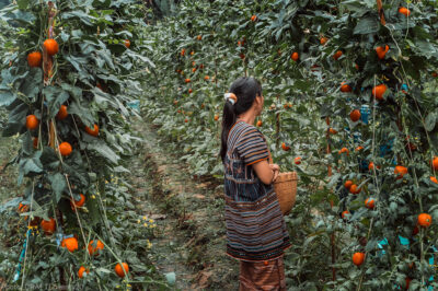 A female farm worker