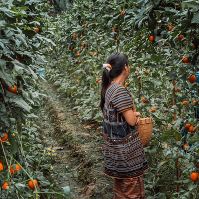 A female farm worker
