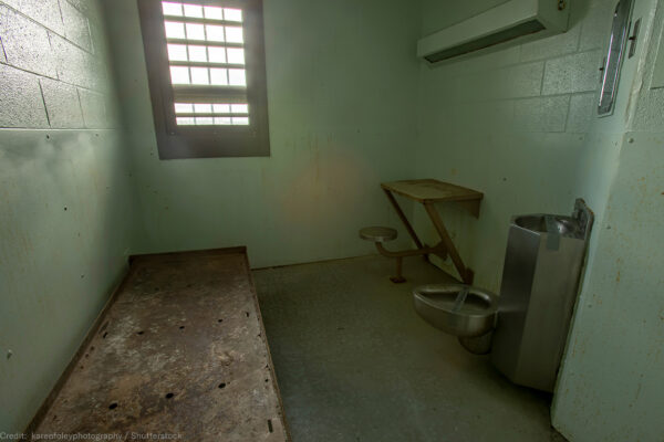 web19-solitary-cell-1160x768_0-600x400.jpg
