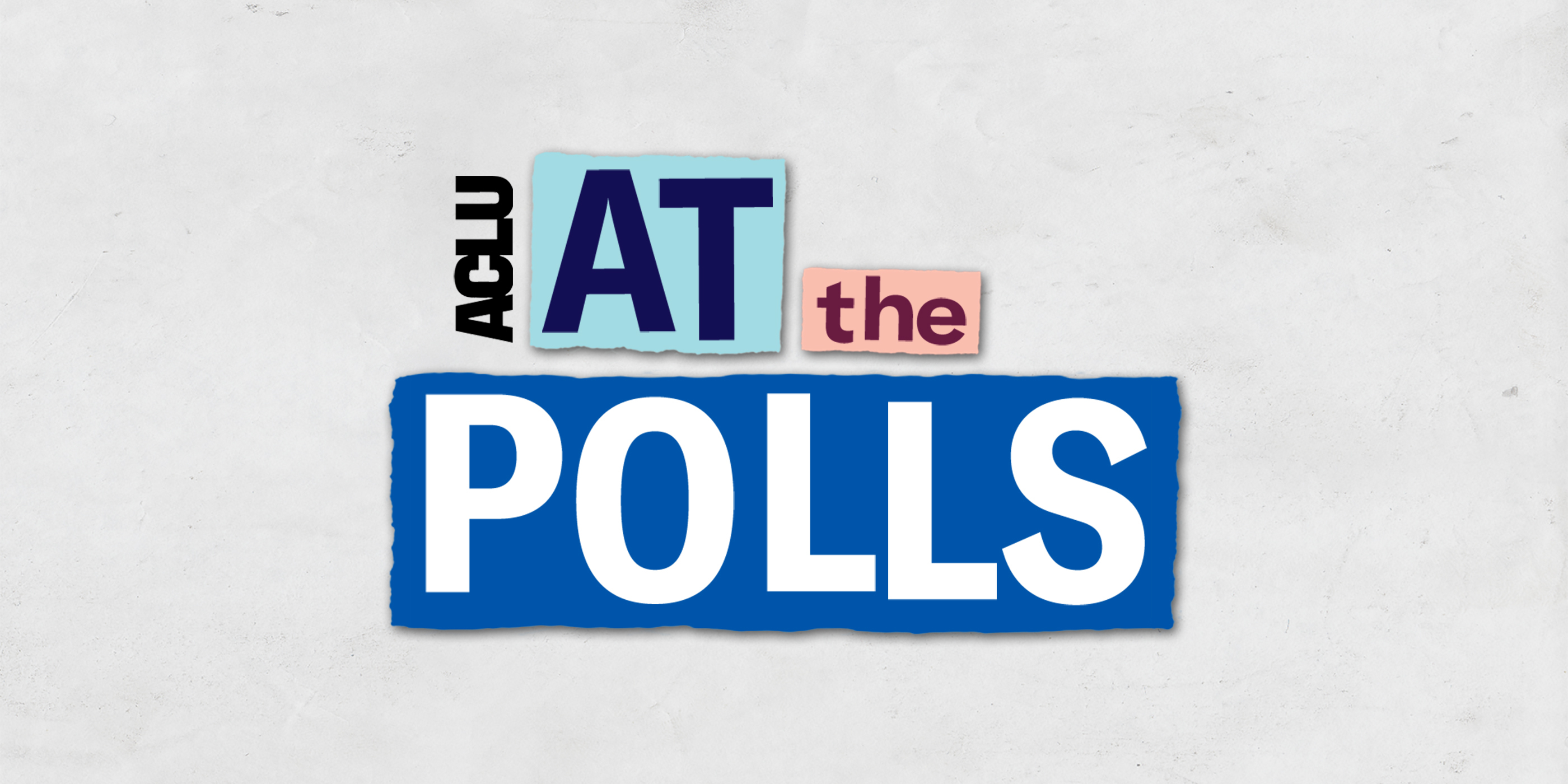 ϰſ At the Polls Banner