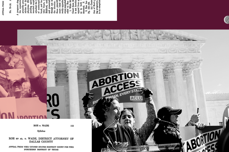 We Show Up: Coming Together to Fight For Civil Rights and Liberties ...