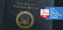 The Senate Torture Report