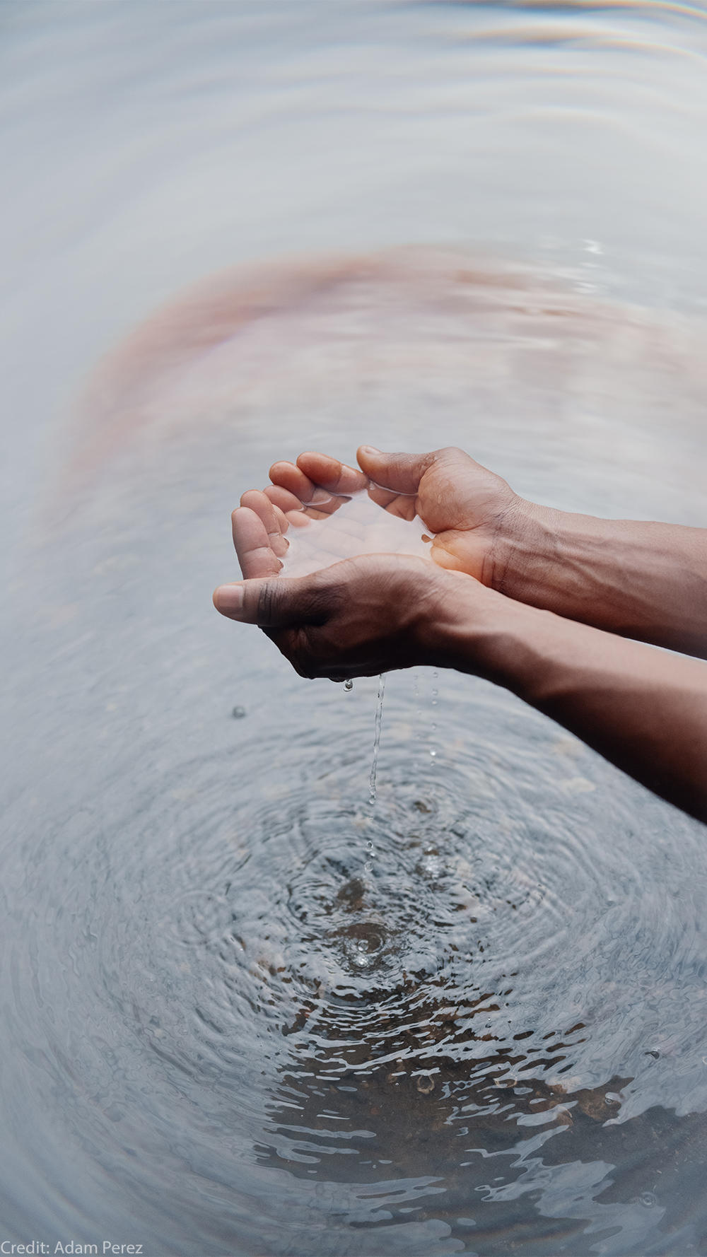 Two hands holding water, creating ripples on the surface below.