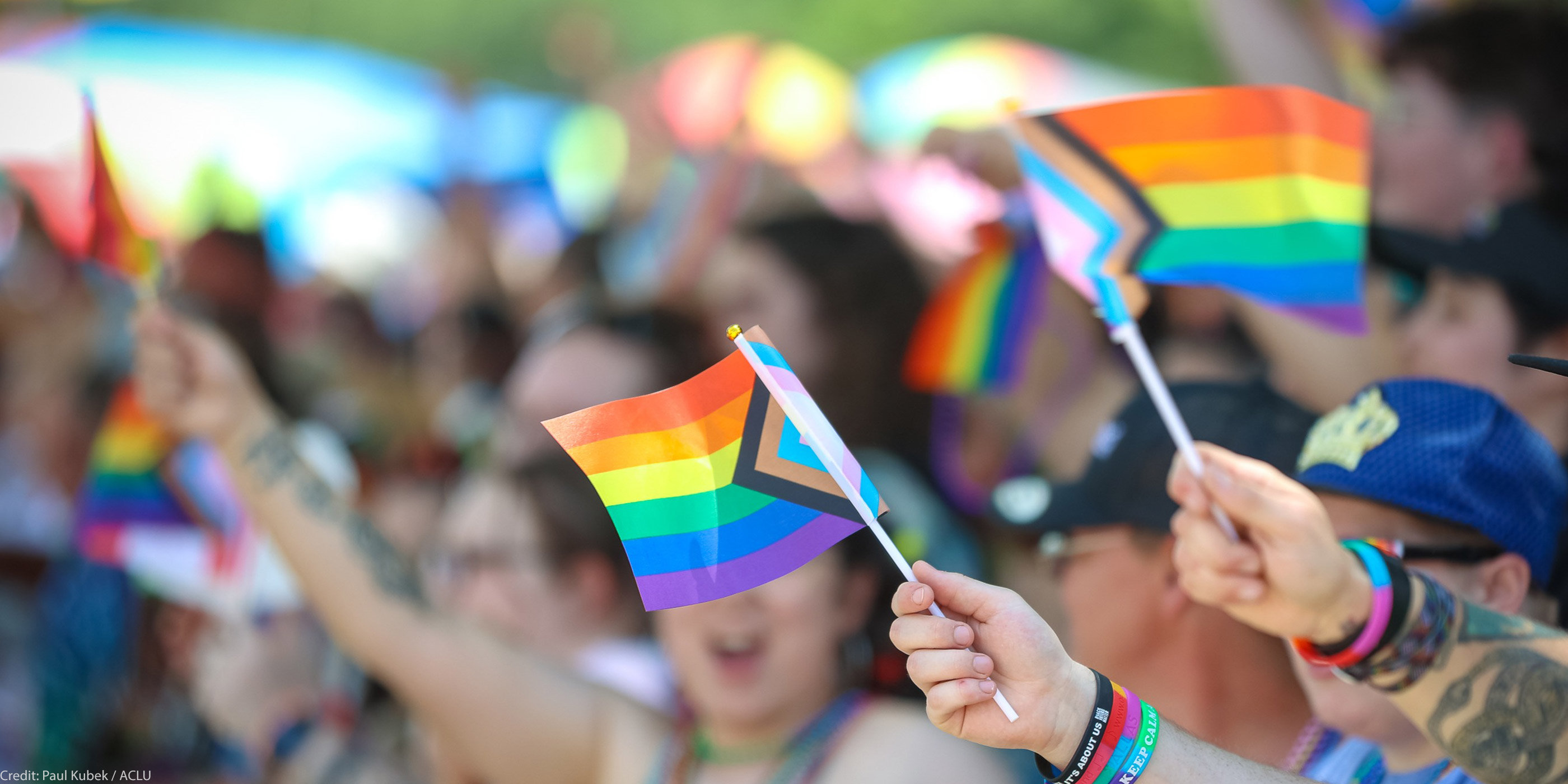 Waving Trans flags.