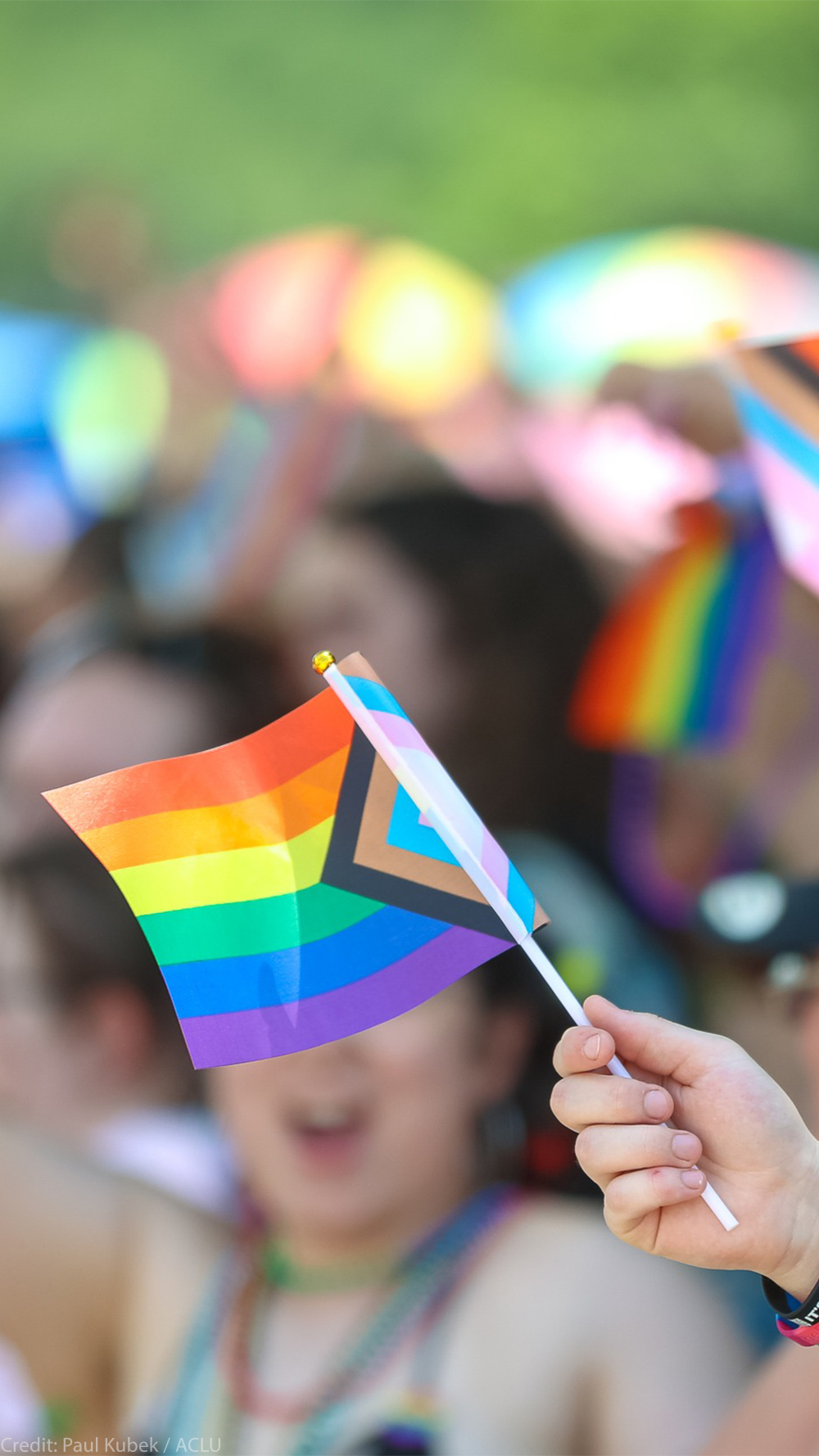 Waving Trans flags.