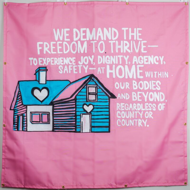 Image of a house in Trans Pride colors with text reading "We demand the freedom to thrive-to experience joy, dignity, agency, and safety at home within our bodies and beyond regardless of county or country"