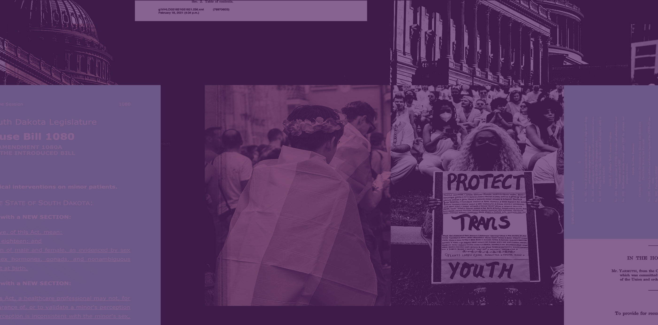 A collage of images including a person with the trans pride flag on their shoulders, and someone holding a sign that says "protect trans youth"