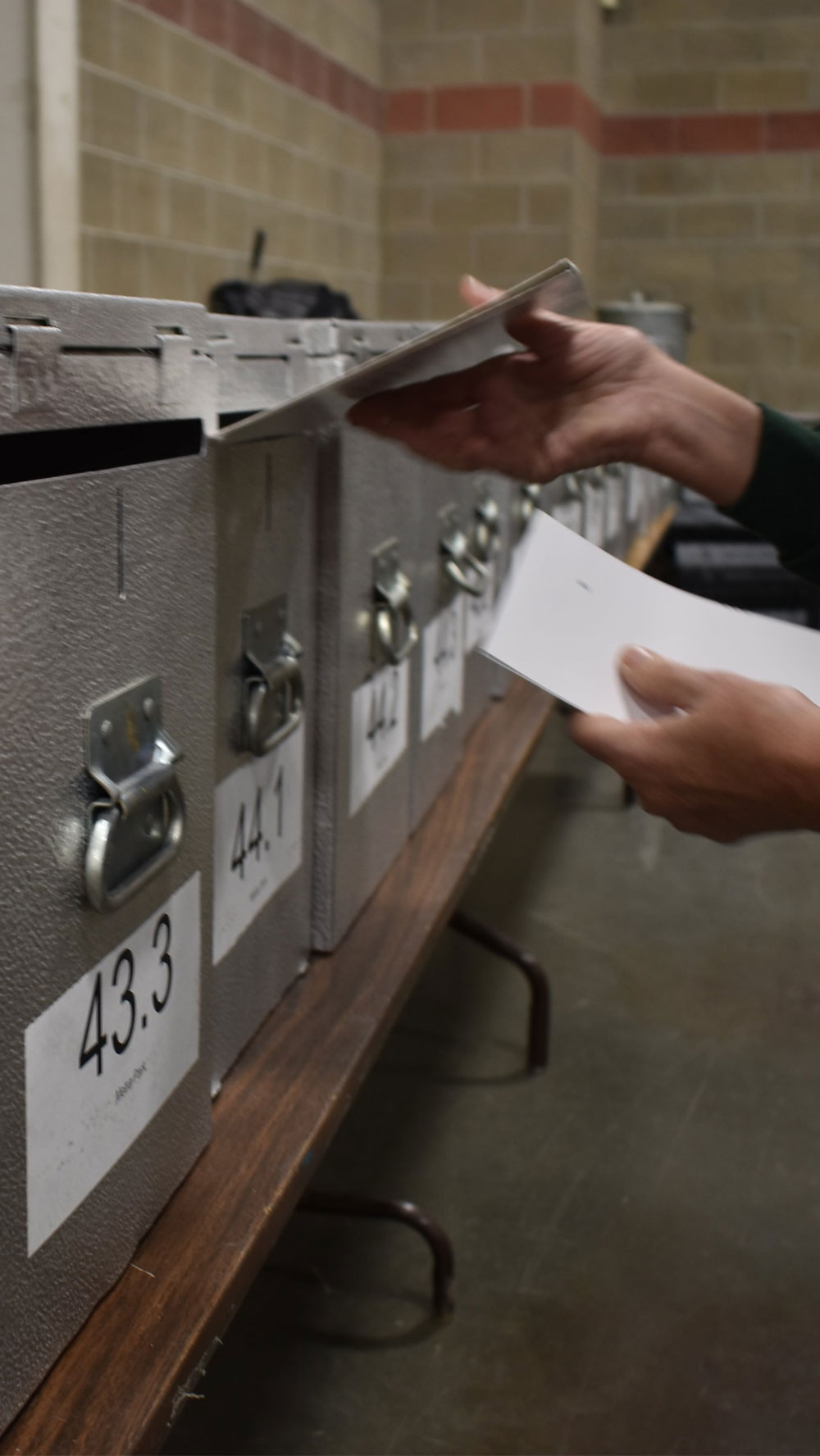 Montana voting