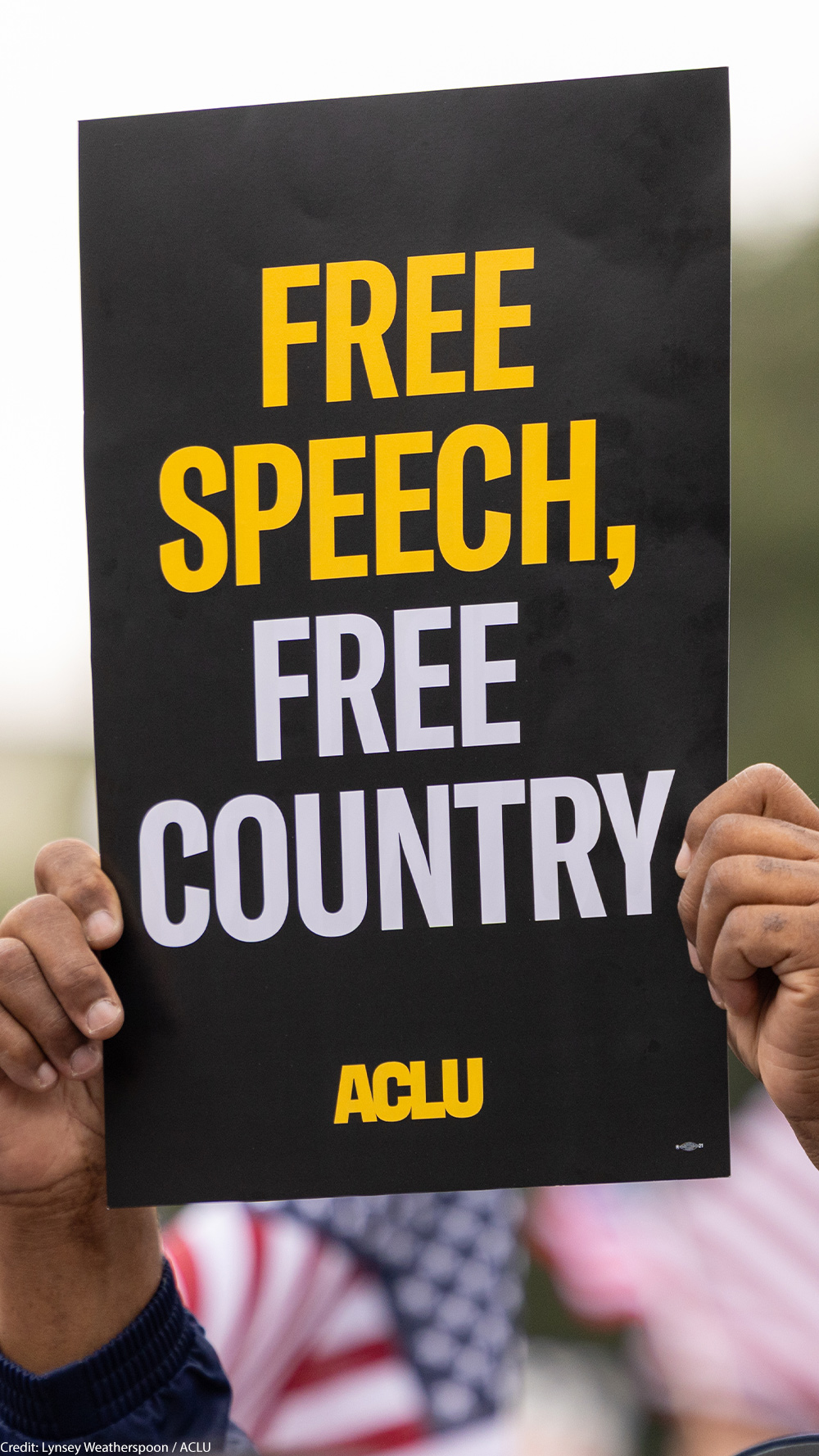 A demonstrator (with only their hands visible) holds up a sign that reads " FREE SPEECH, FREE COUNTRY - Ƶ".