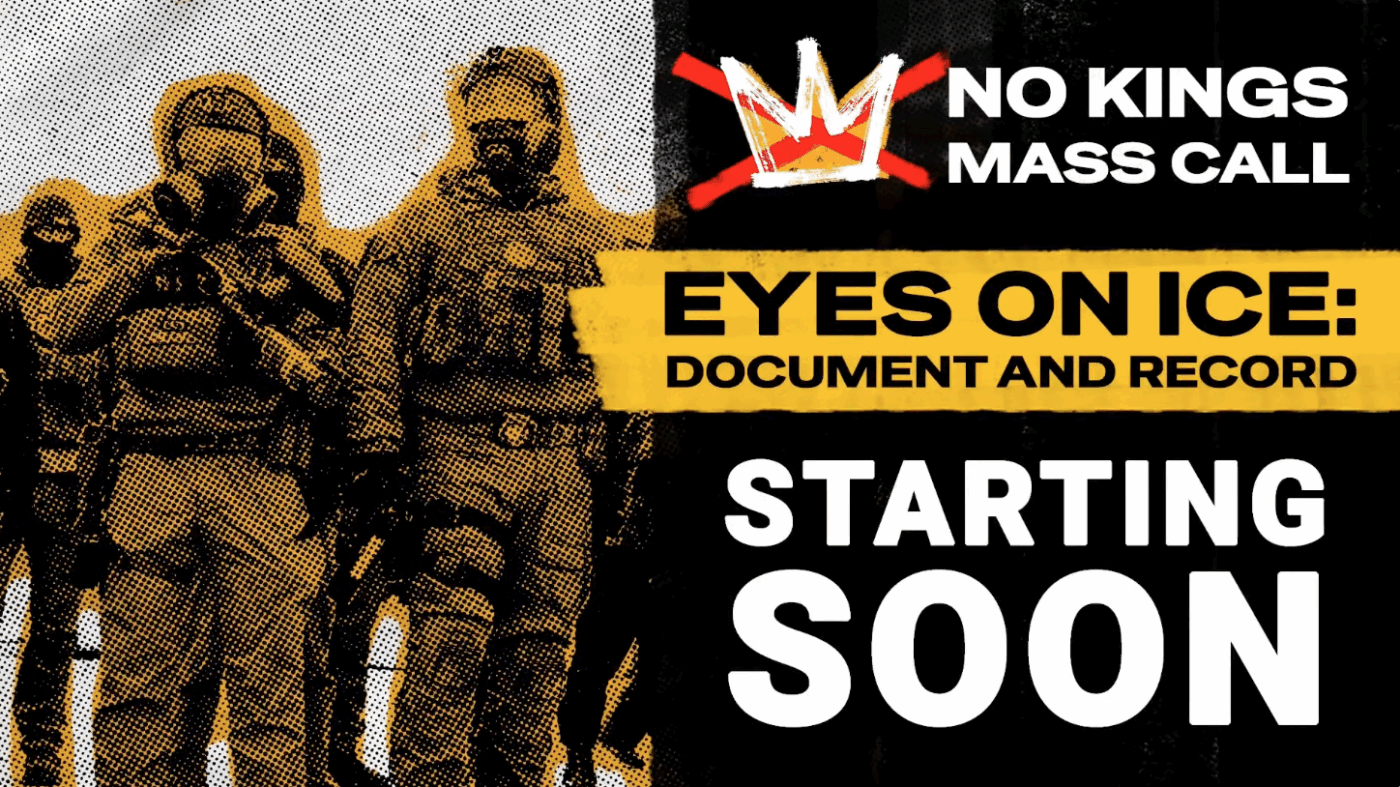 Screenshot of the Eyes on Ice Document and Record Training livestream