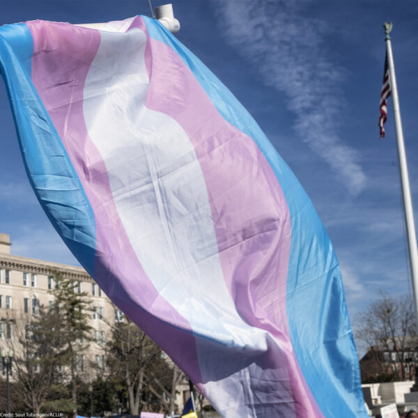 A large transgender pride flag waves on a flagpole against a blue sky, with an American flag flying on a tall pole and a government building in the background.
