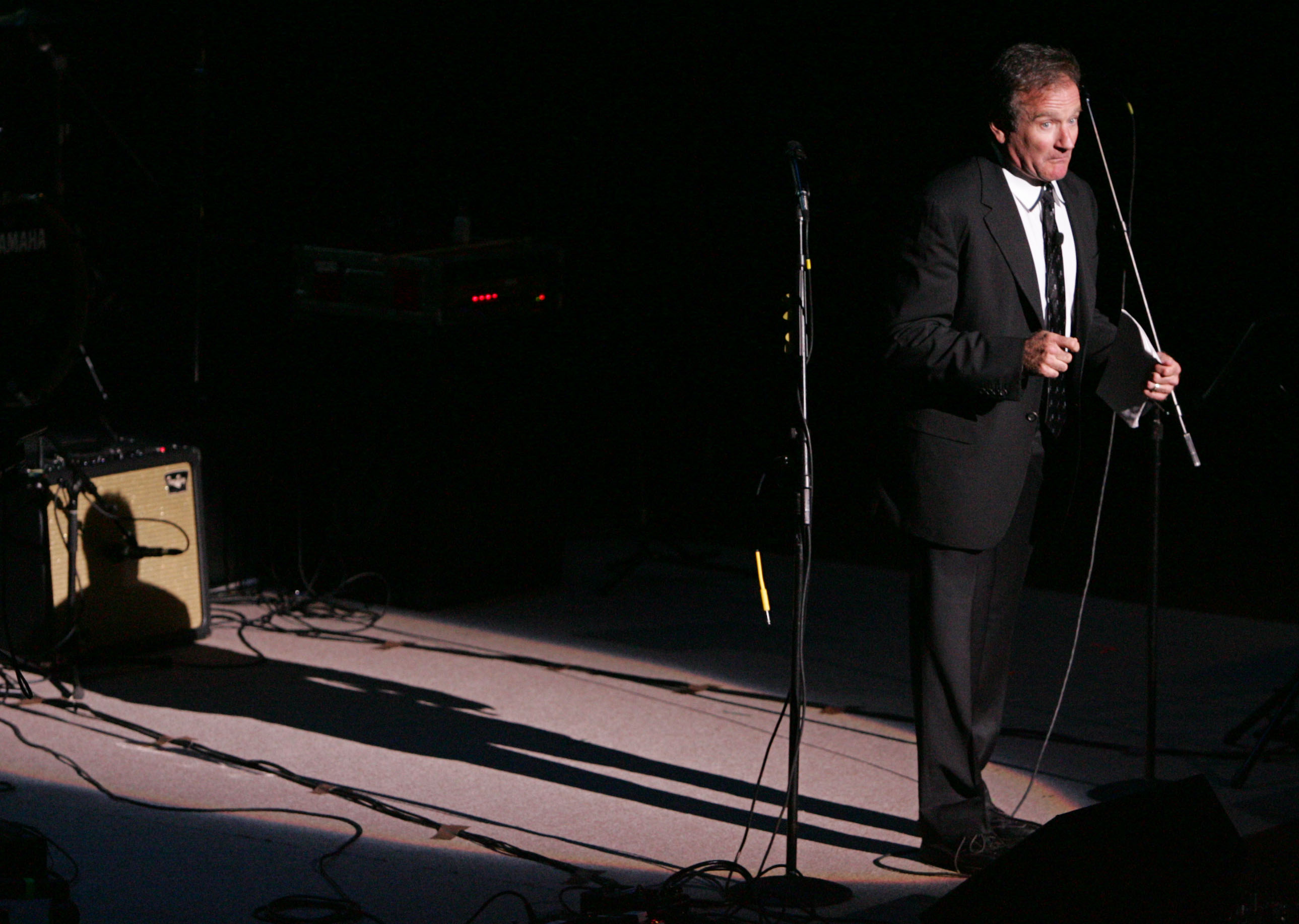 Robin Williams performs at the ACLU Freedom Concert